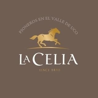 BODEGA LA CELIA - Instagram Profile