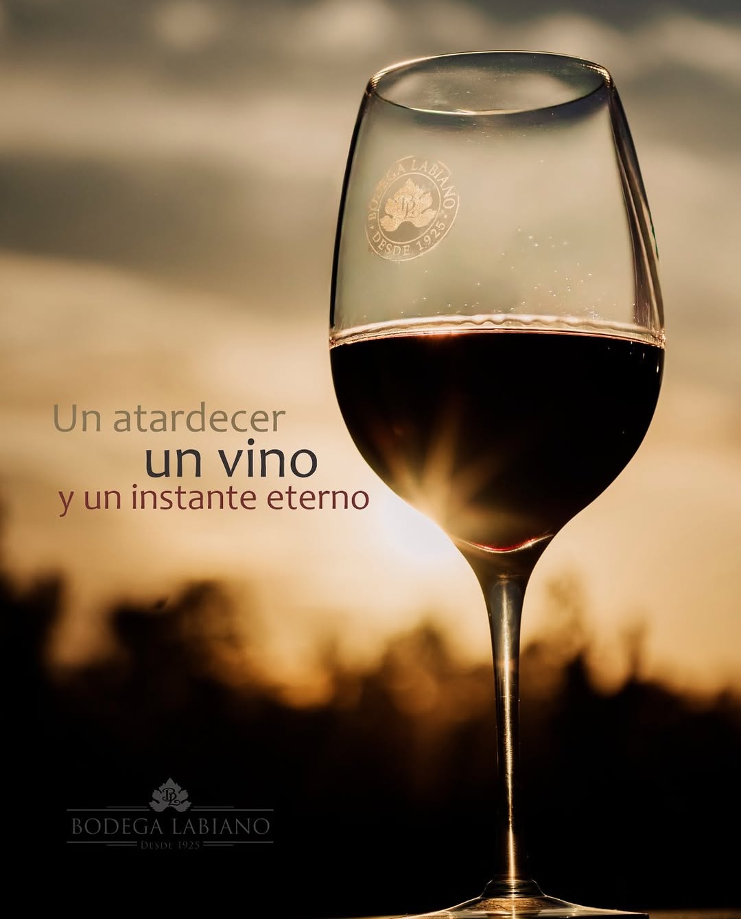 BODEGA LABIANO - Instagram Post