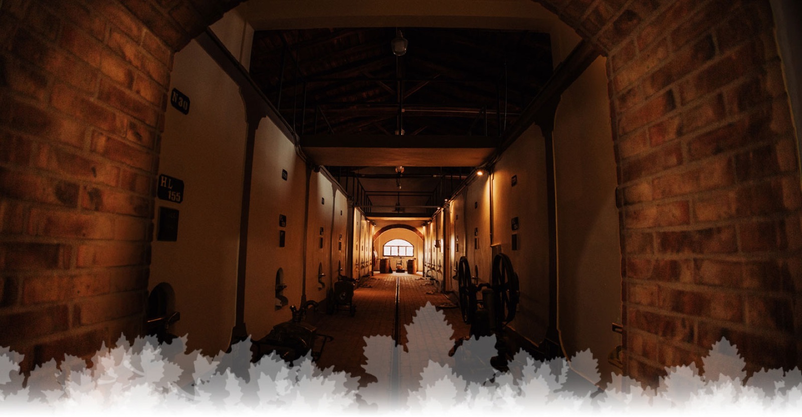 Bodega Labiano