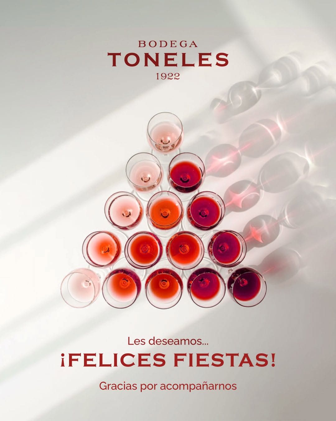 BODEGA LOS TONELES - Instagram Post