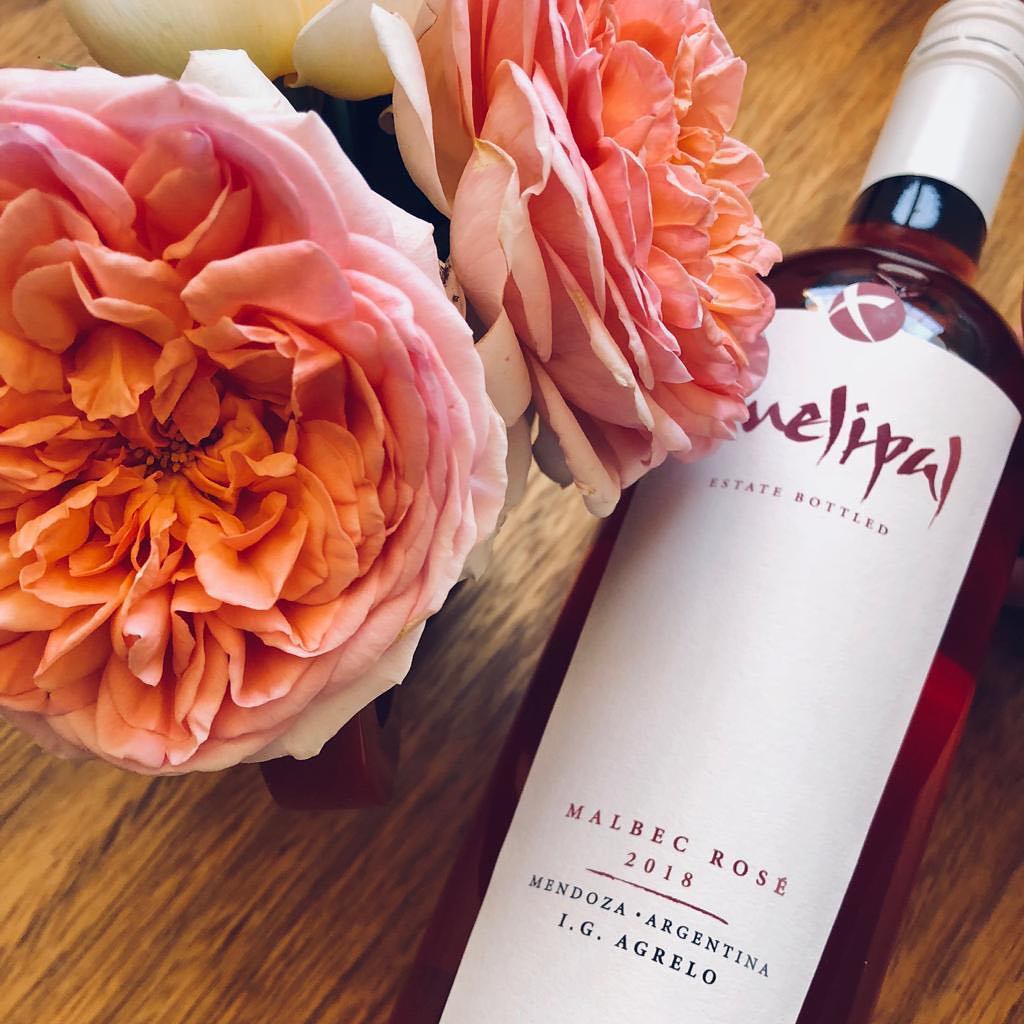 BODEGA MELIPAL - Instagram Post