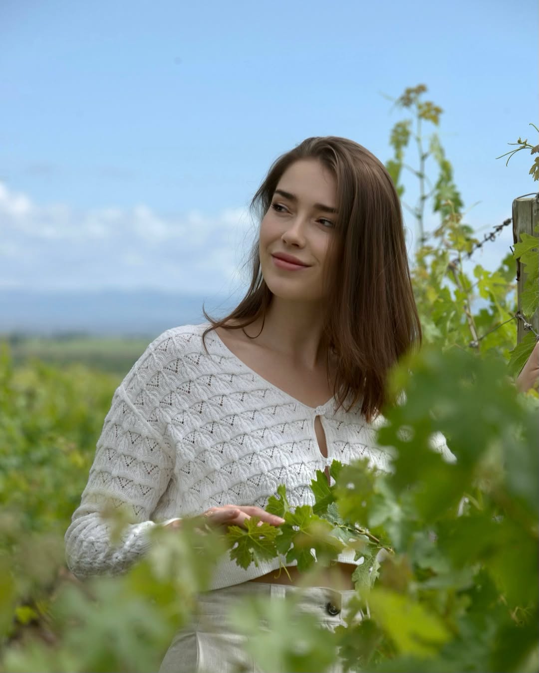 BODEGA MONTEVIEJO - Instagram Post