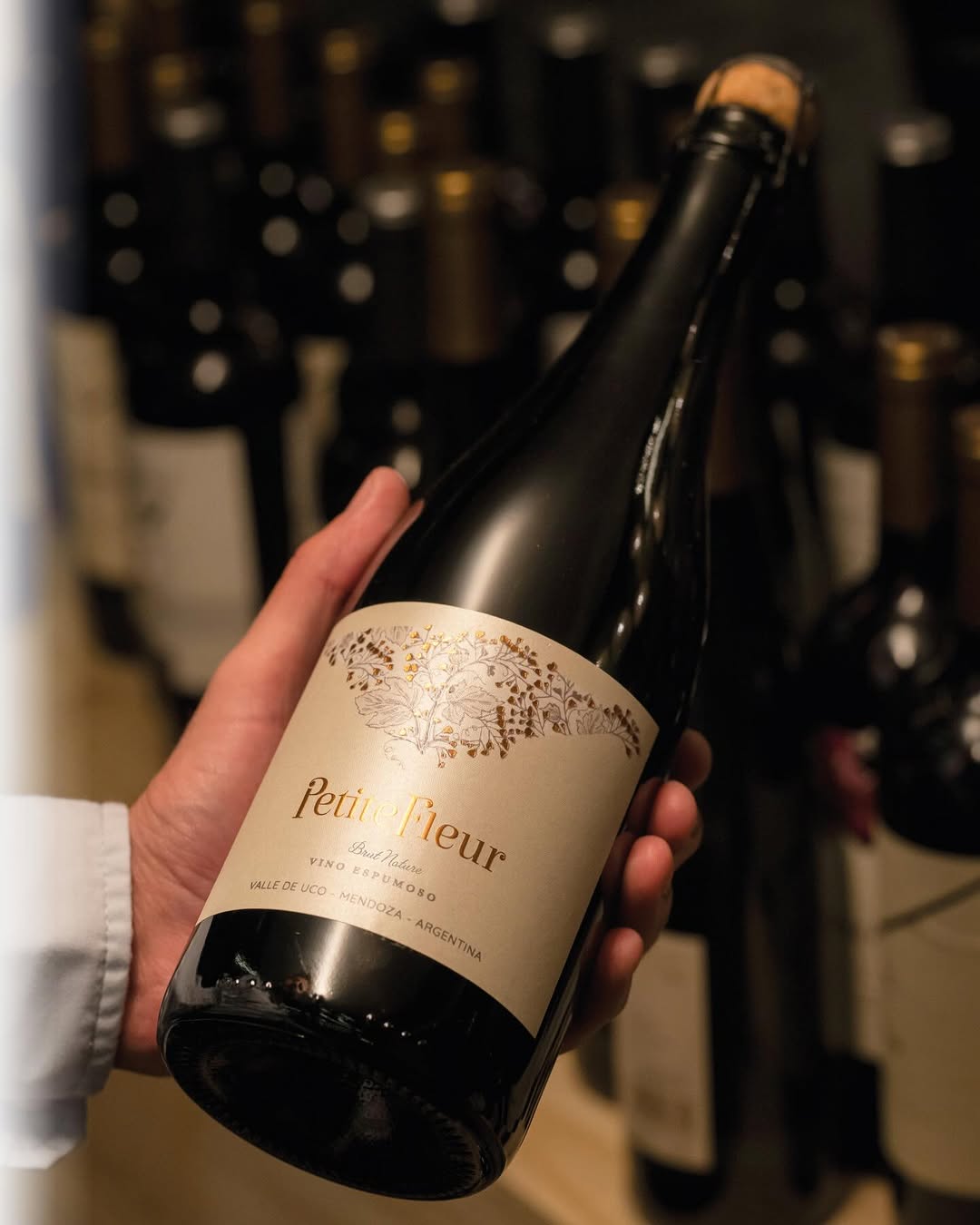BODEGA MONTEVIEJO - Instagram Post