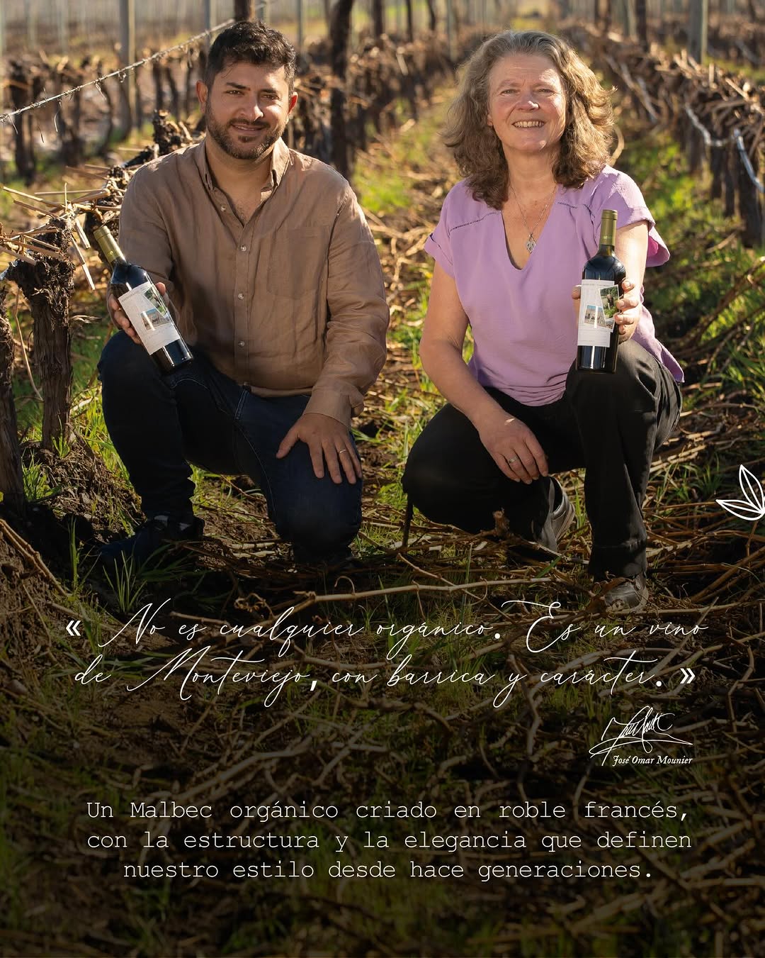 BODEGA MONTEVIEJO - Instagram Post
