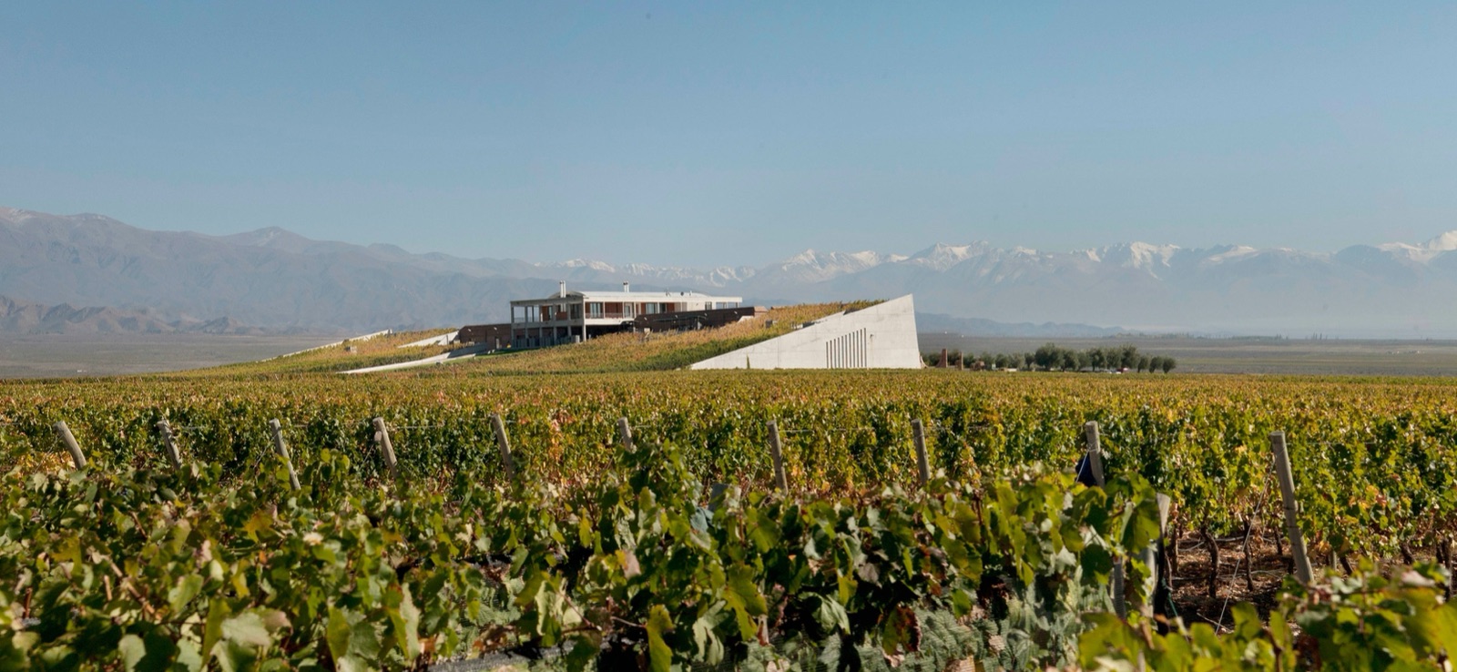 Bodega Monteviejo