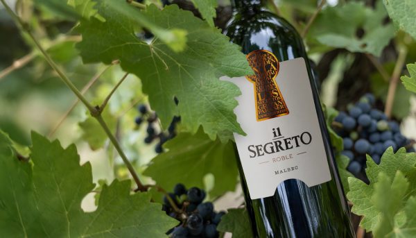 BODEGA MURVILLE
