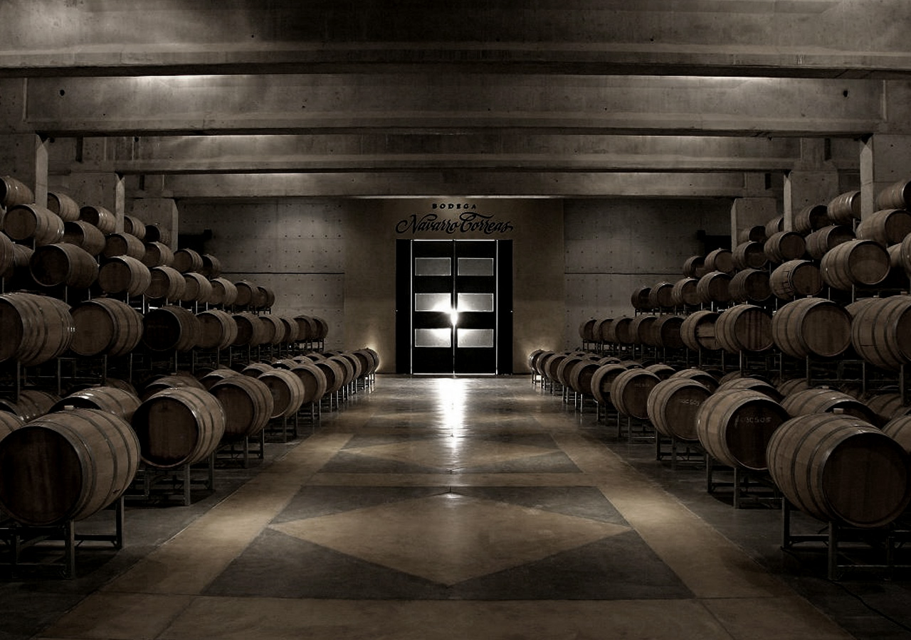 BODEGA NAVARRO CORREAS