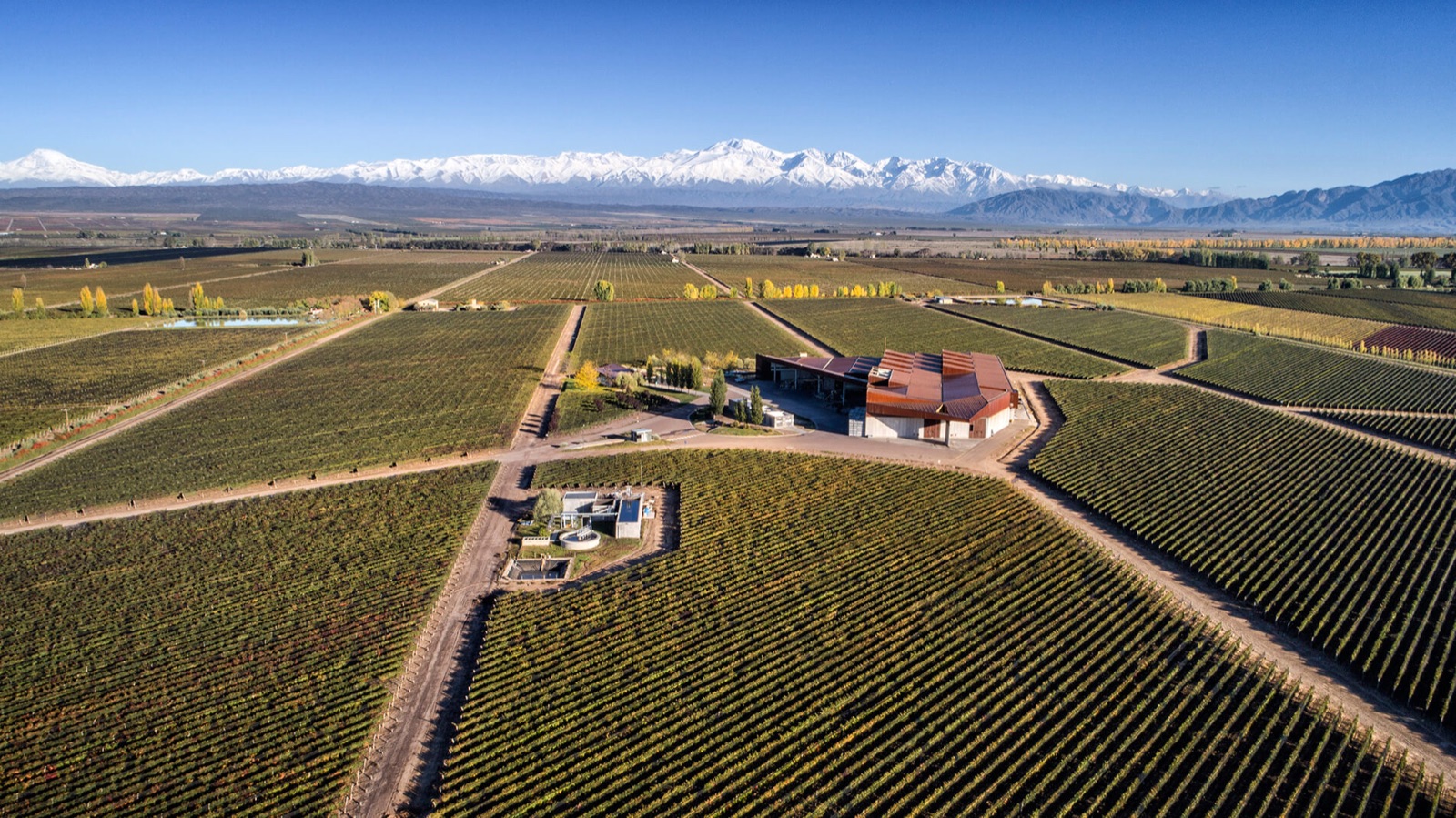 Bodega Navarro Correas