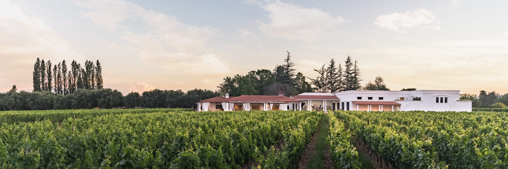 BODEGA NIETO SENETINER
