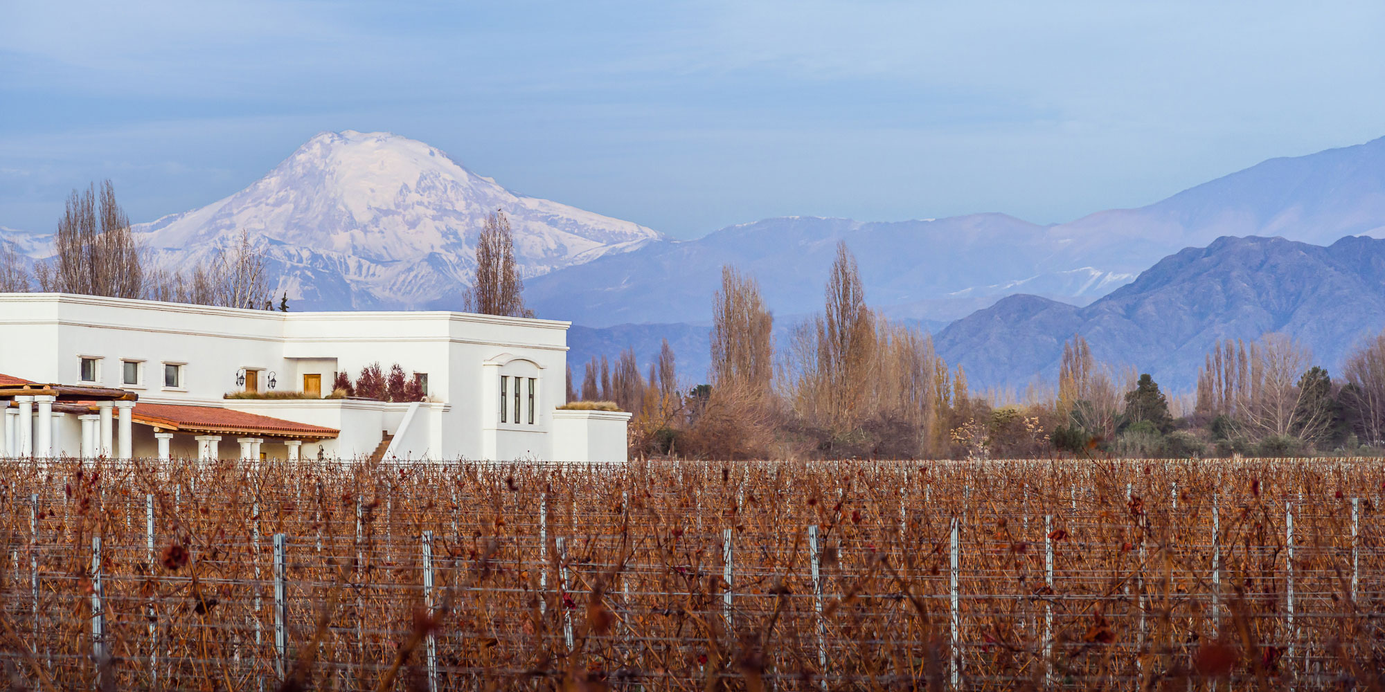 BODEGA NIETO SENETINER