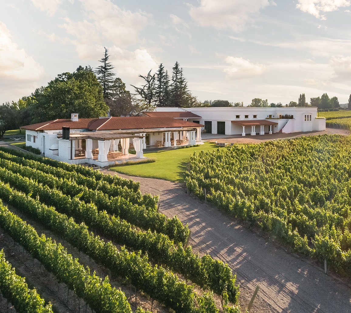 BODEGA NIETO SENETINER