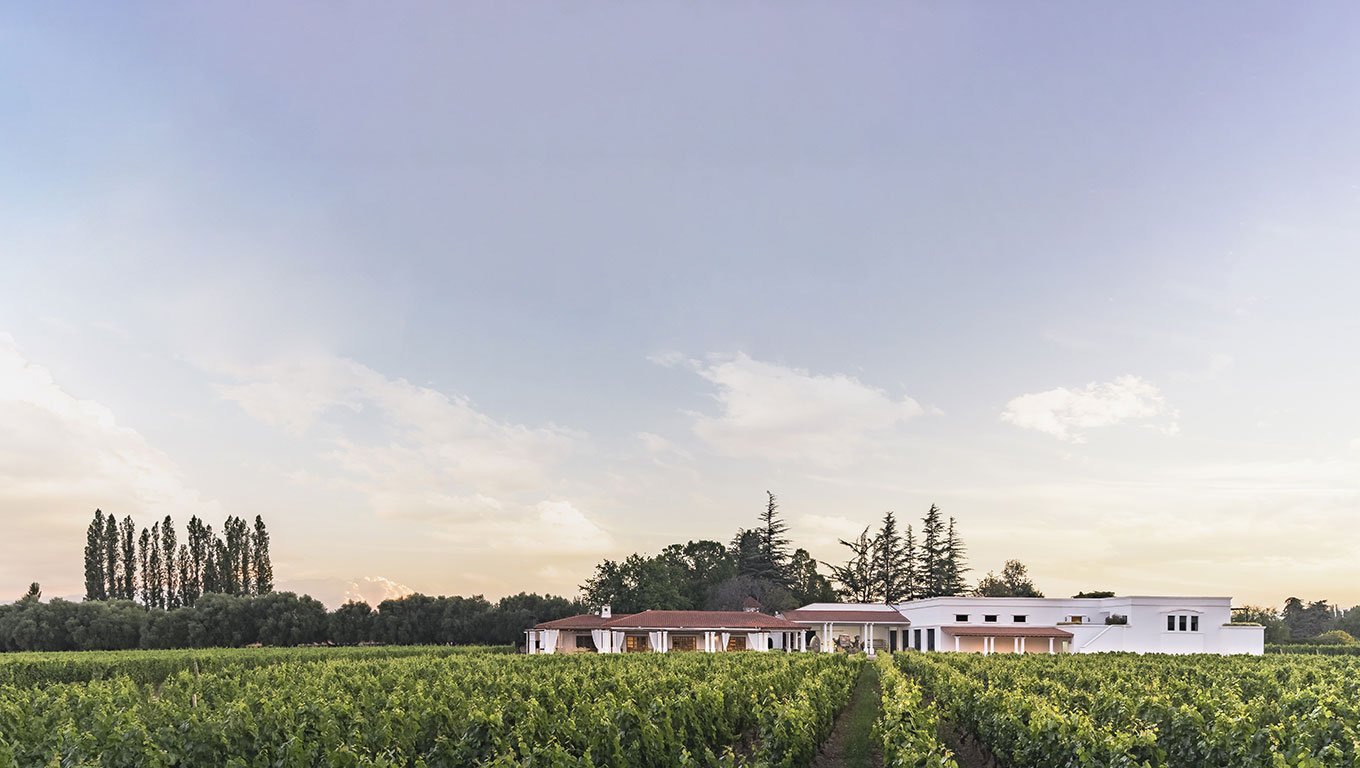 BODEGA NIETO SENETINER