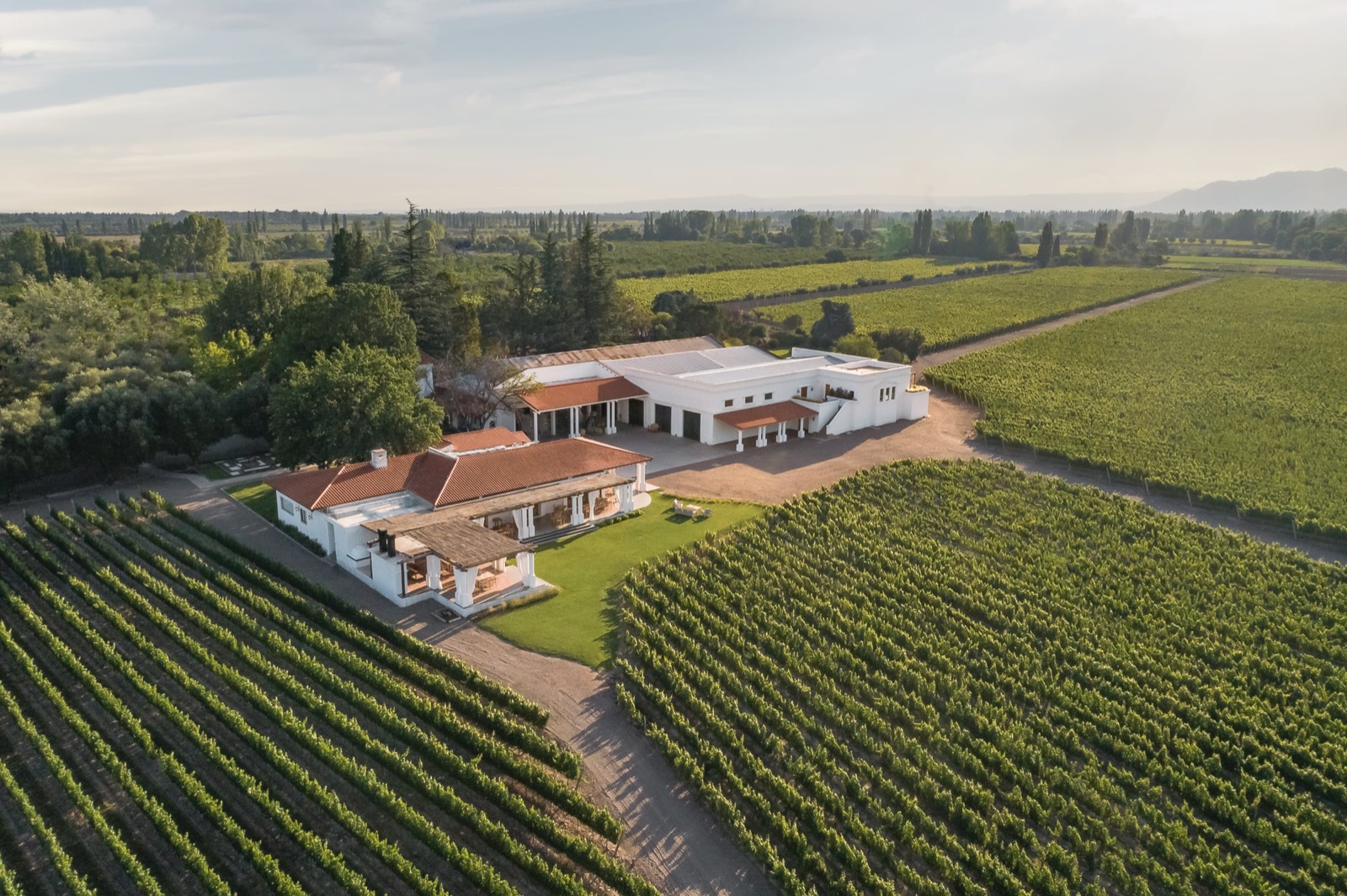 Bodega Nieto Senetiner