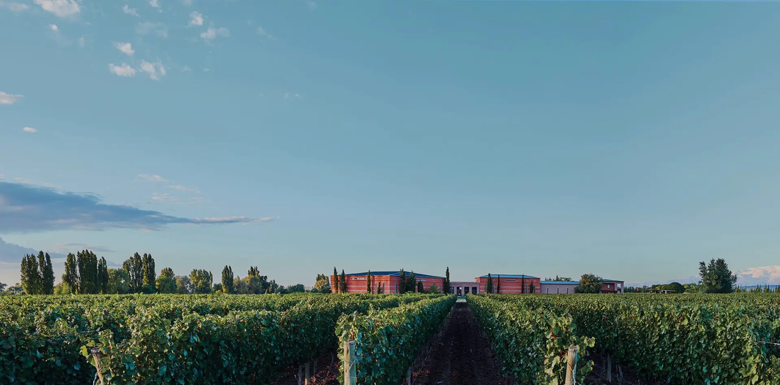 Bodega Ruca Malen