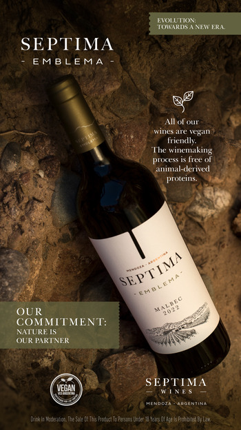 Bodega Séptima