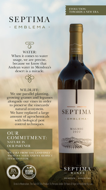 BODEGA SEPTIMA