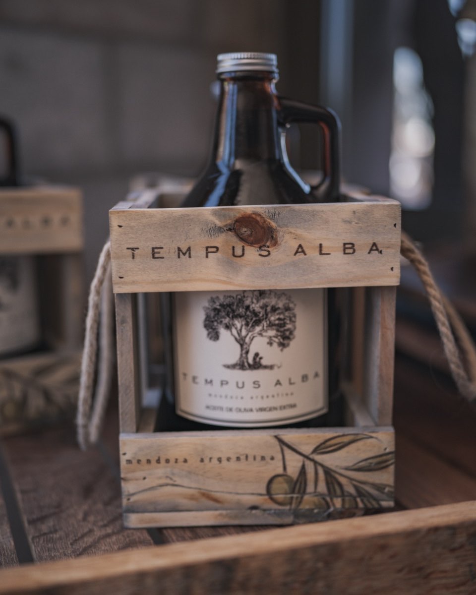 BODEGA TEMPUS ALBA - Instagram Post