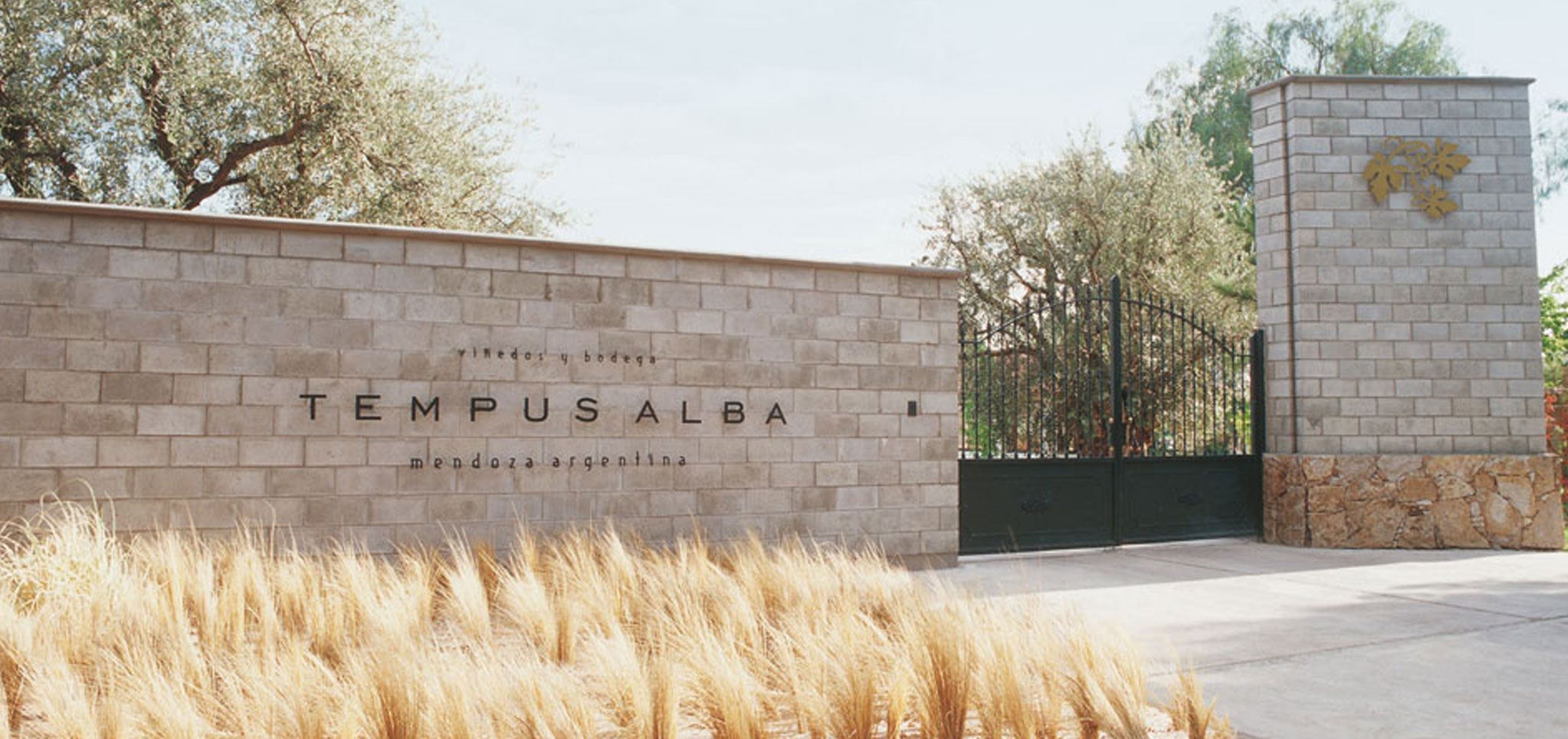 BODEGA TEMPUS ALBA