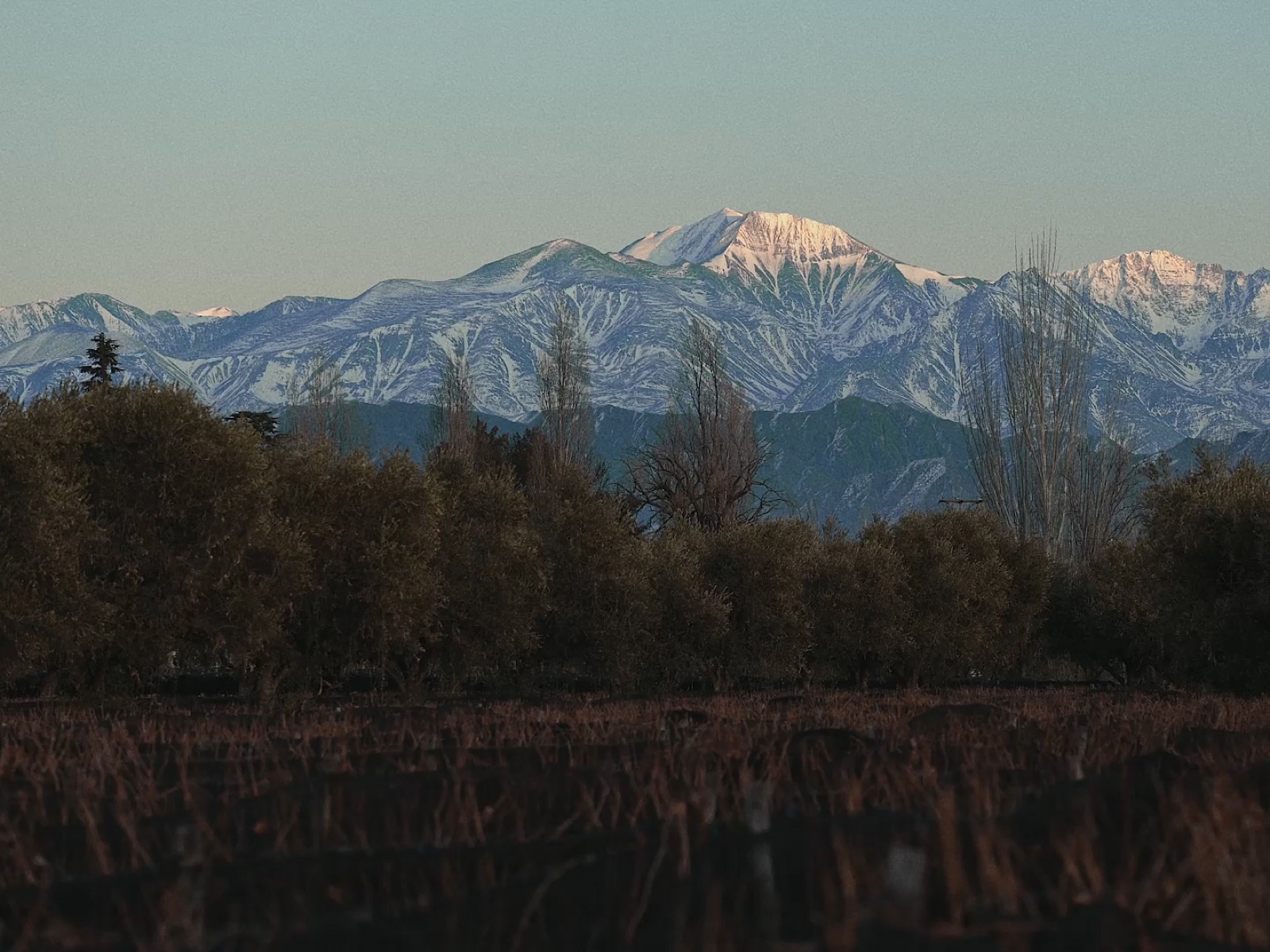 Bodega Trivento