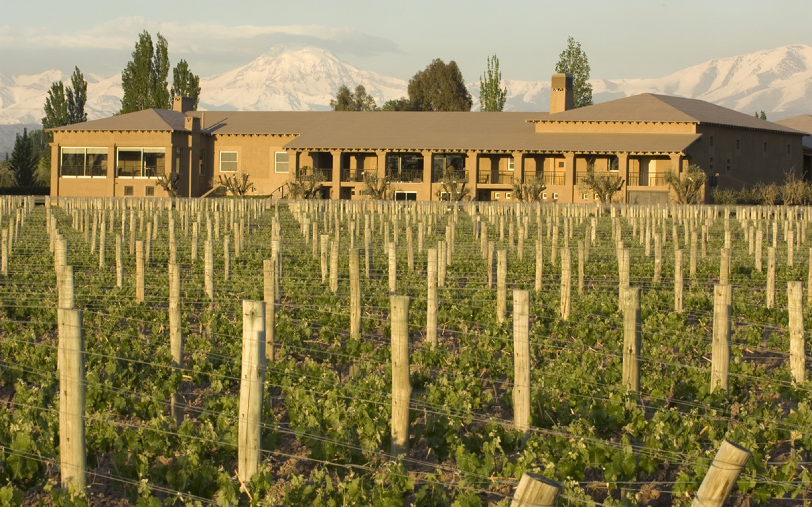 Bodega Vistalba
