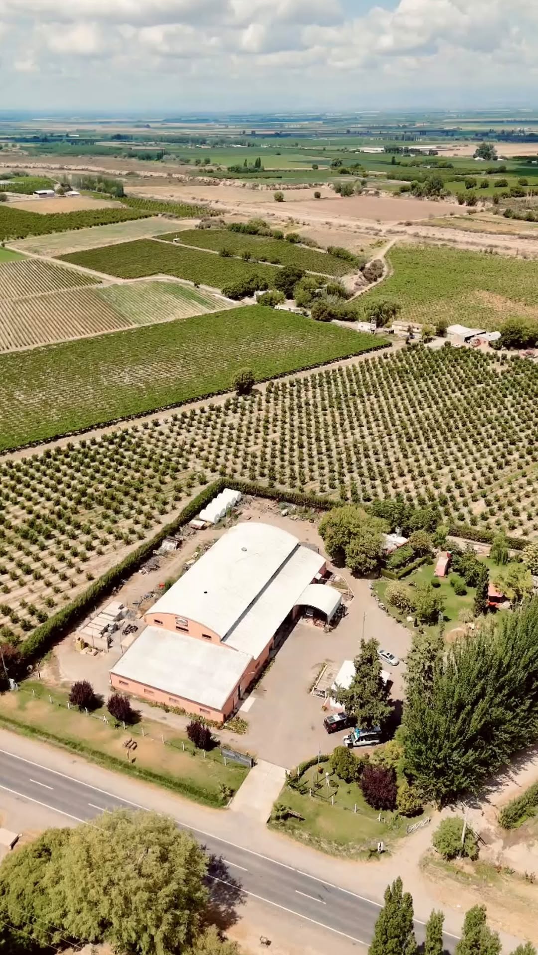 BODEGA Y VI¥EDO FAMILIA GIAQUINTA - Instagram Post