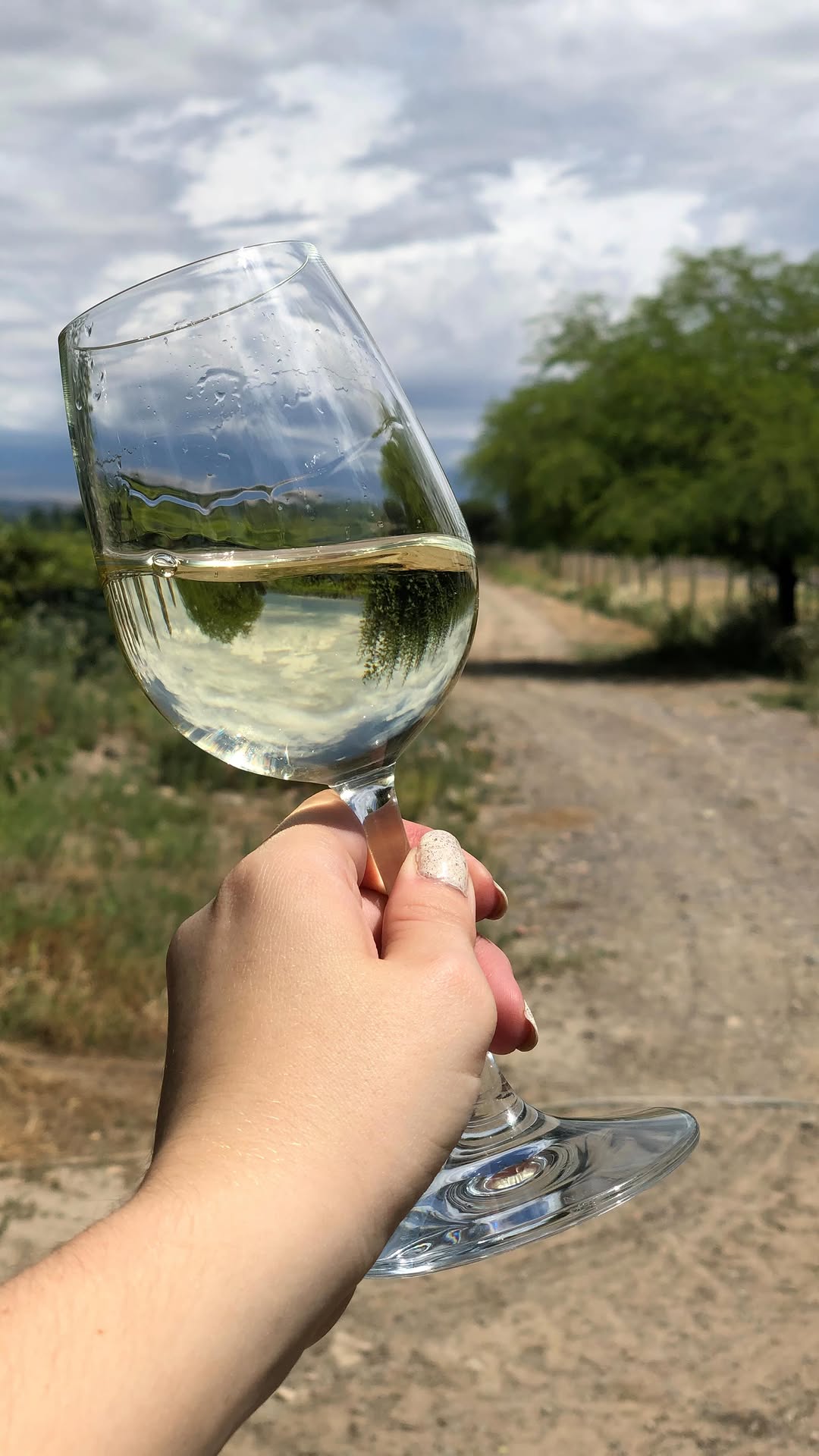 BODEGA Y VI¥EDO FAMILIA GIAQUINTA - Instagram Post