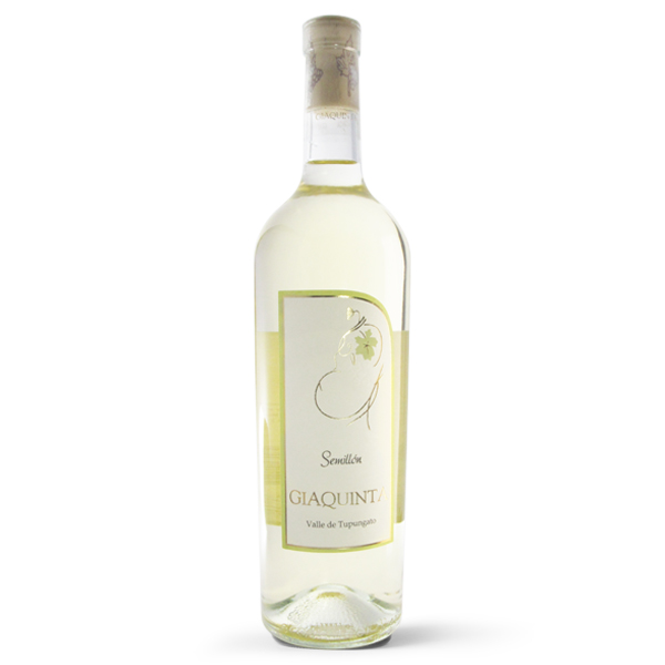 BODEGA Y VI¥EDO FAMILIA GIAQUINTA