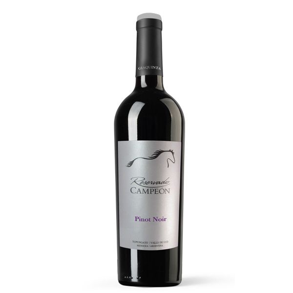 BODEGA Y VI¥EDO FAMILIA GIAQUINTA