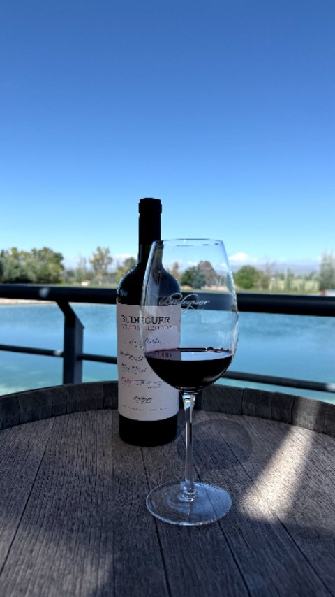 BODEGAS BUDEGUER - Instagram Post