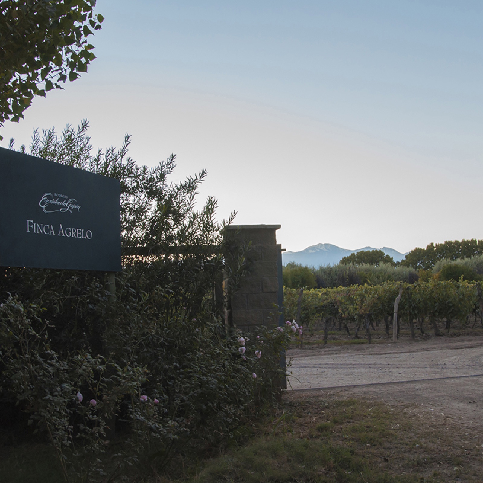 Bodegas Escorihuela Gascón