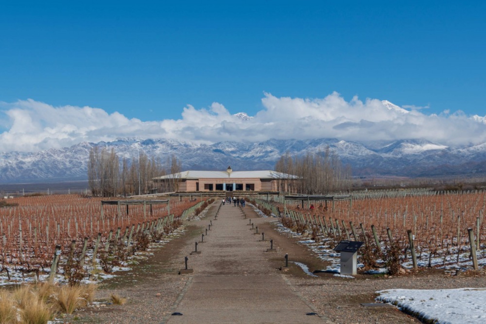 Bodegas Salentein