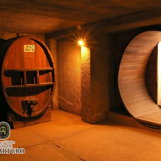 BODEGAS Y VI¥EDOS CAVAS DE DON ARTURO - Instagram Profile
