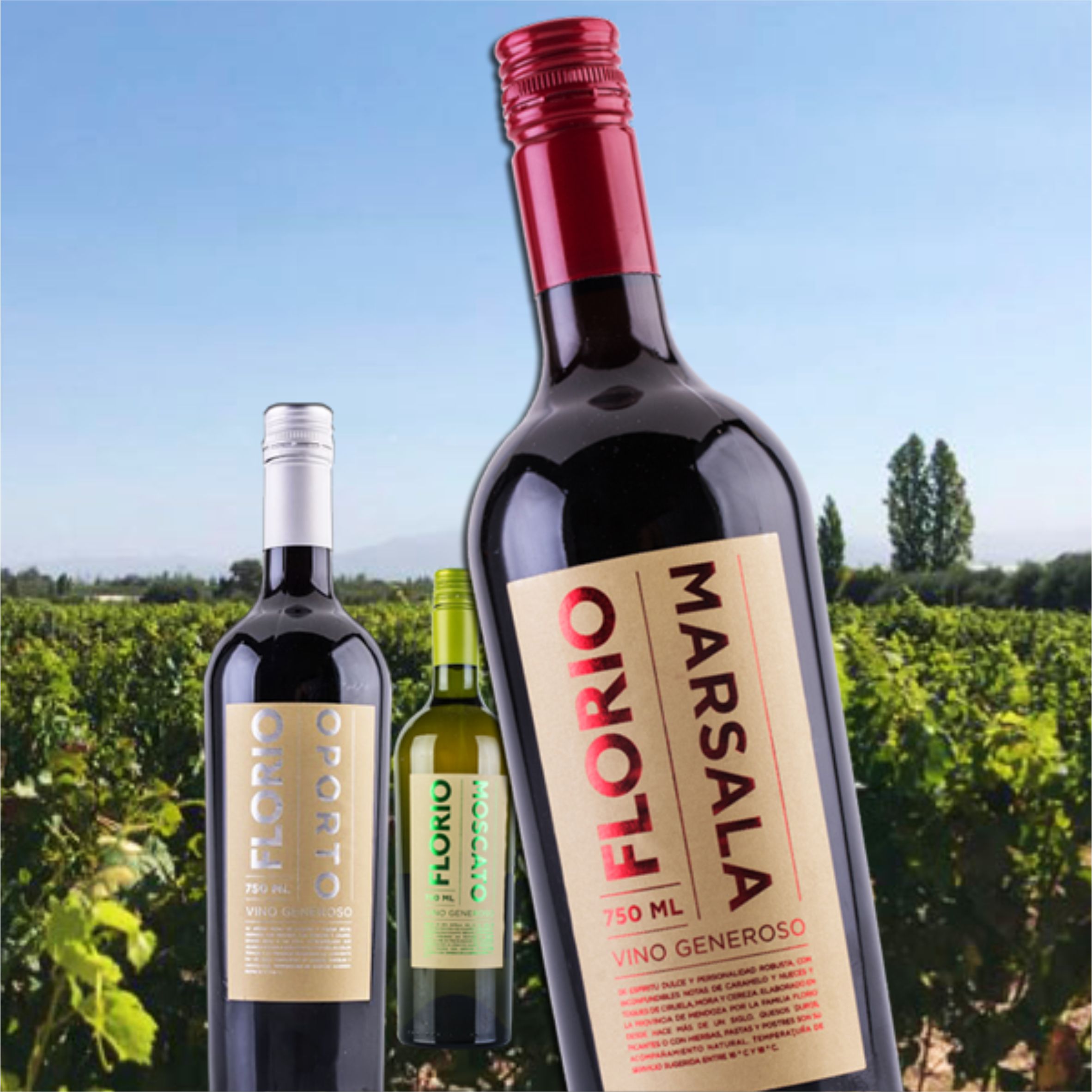 Bodegas y Viñedos Florio