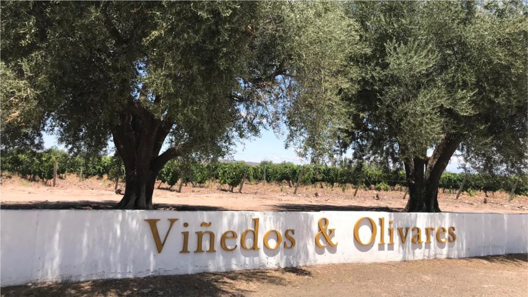 BODEGAS Y VI¥EDOS FLORIO