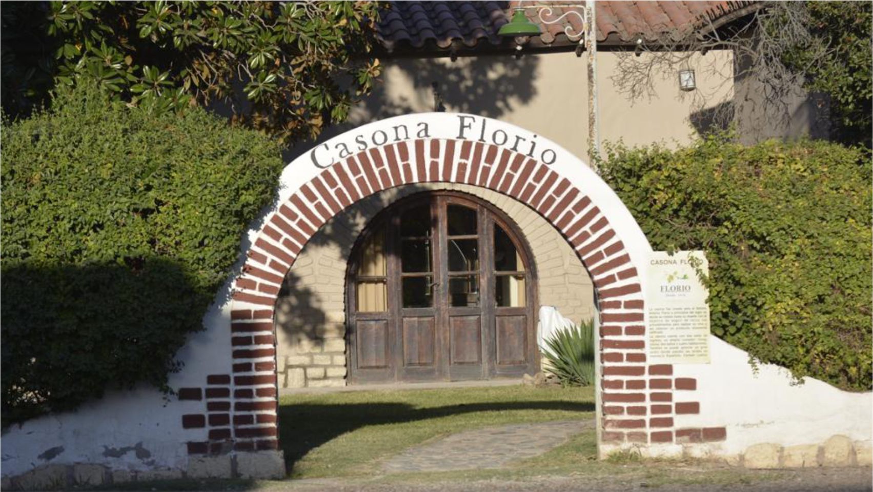 BODEGAS Y VI¥EDOS FLORIO