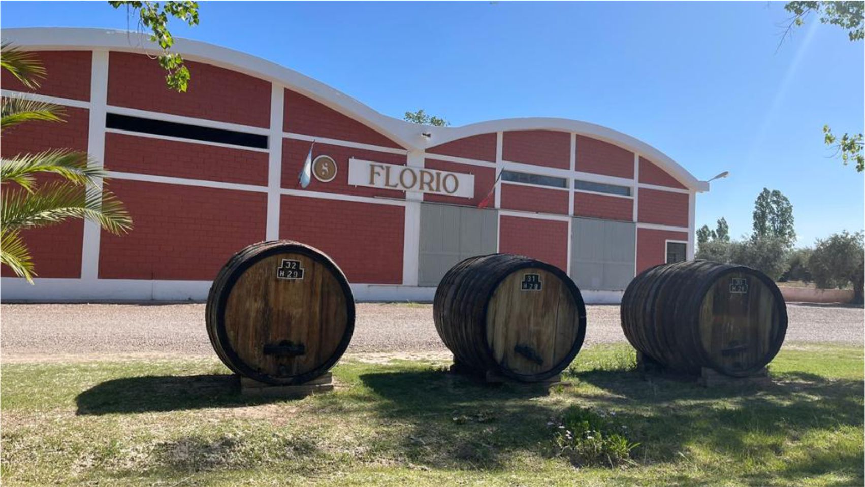 BODEGAS Y VI¥EDOS FLORIO