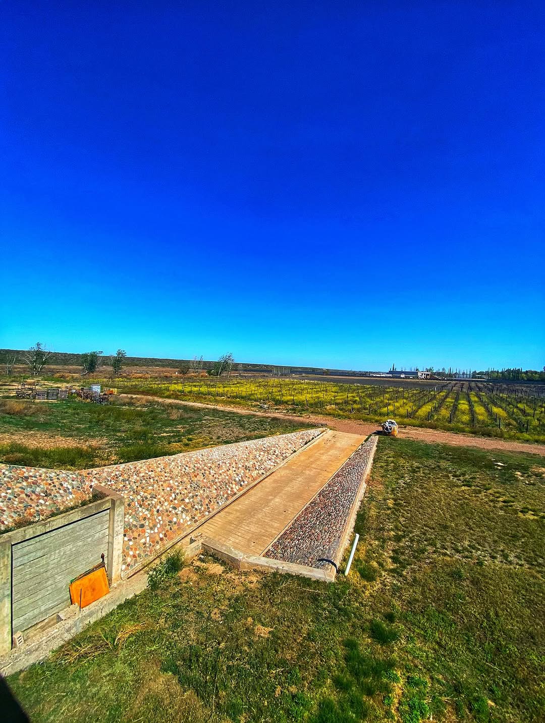 DOLIUM BODEGA SUBTERRANEA - Instagram Post