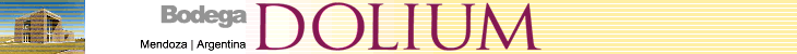 DOLIUM BODEGA SUBTERRANEA
