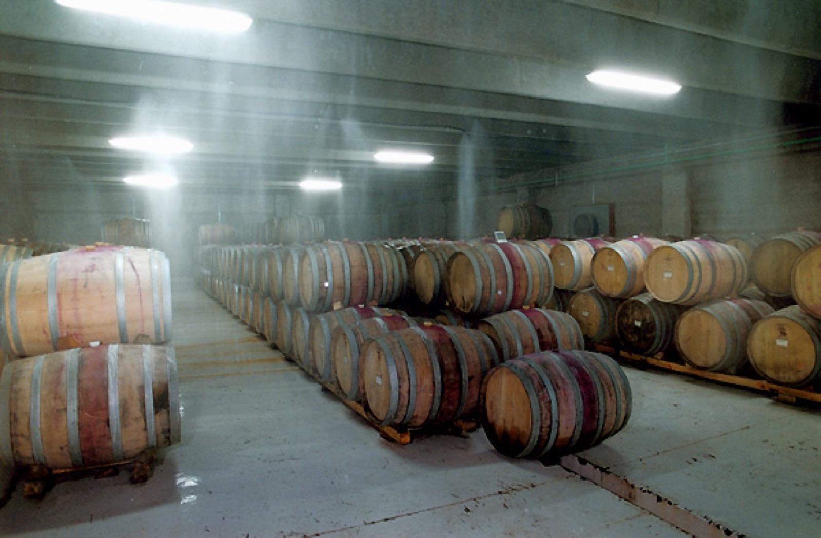 Dolium Bodega Subterránea