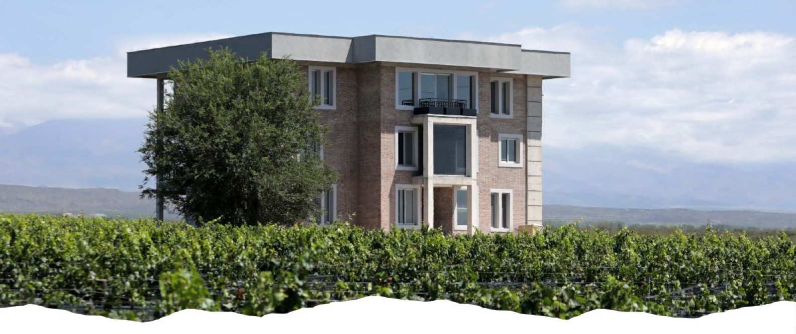 Domaine Bousquet