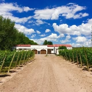ESTRELLA DE LOS ANDES - Instagram Profile