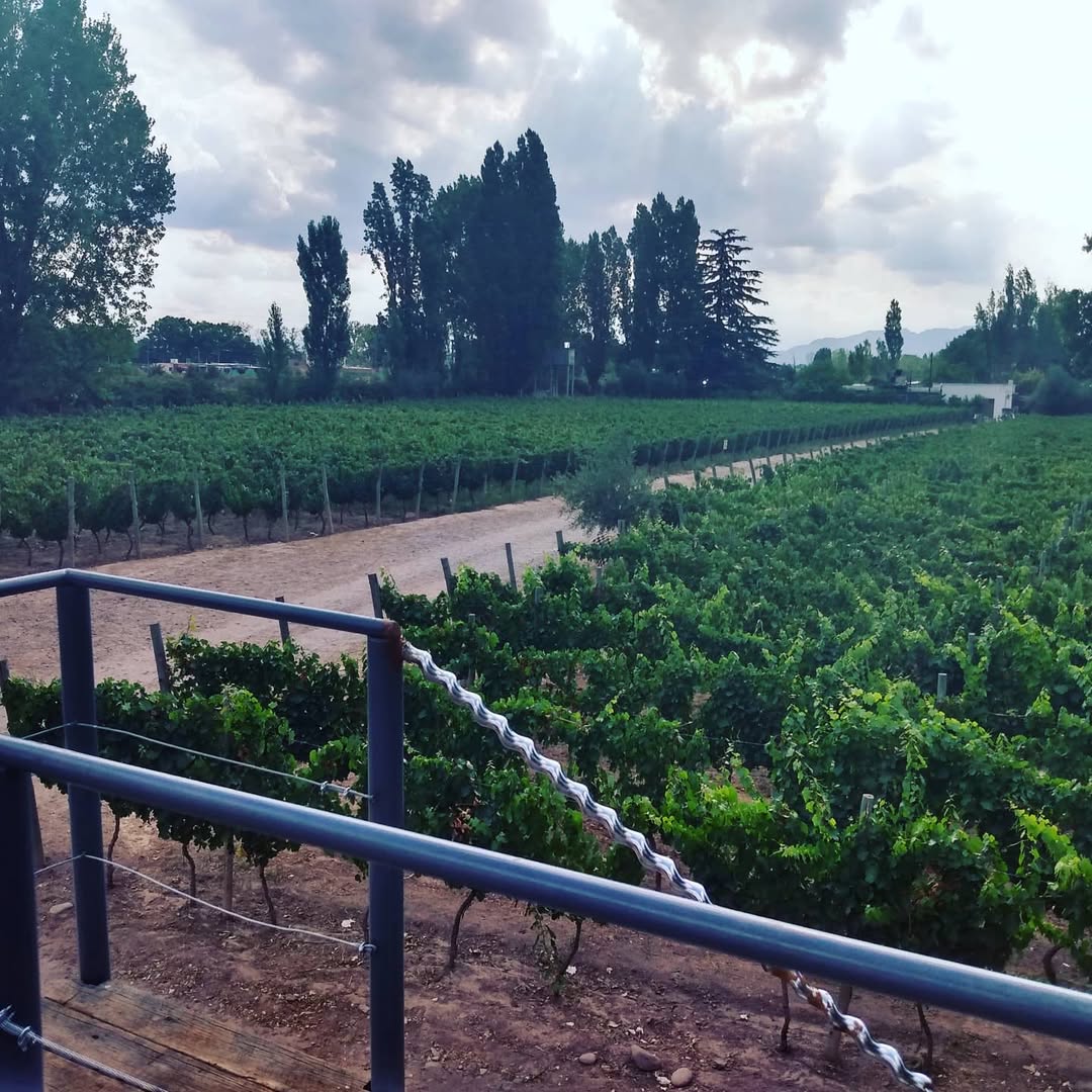 ESTRELLA DE LOS ANDES - Instagram Post