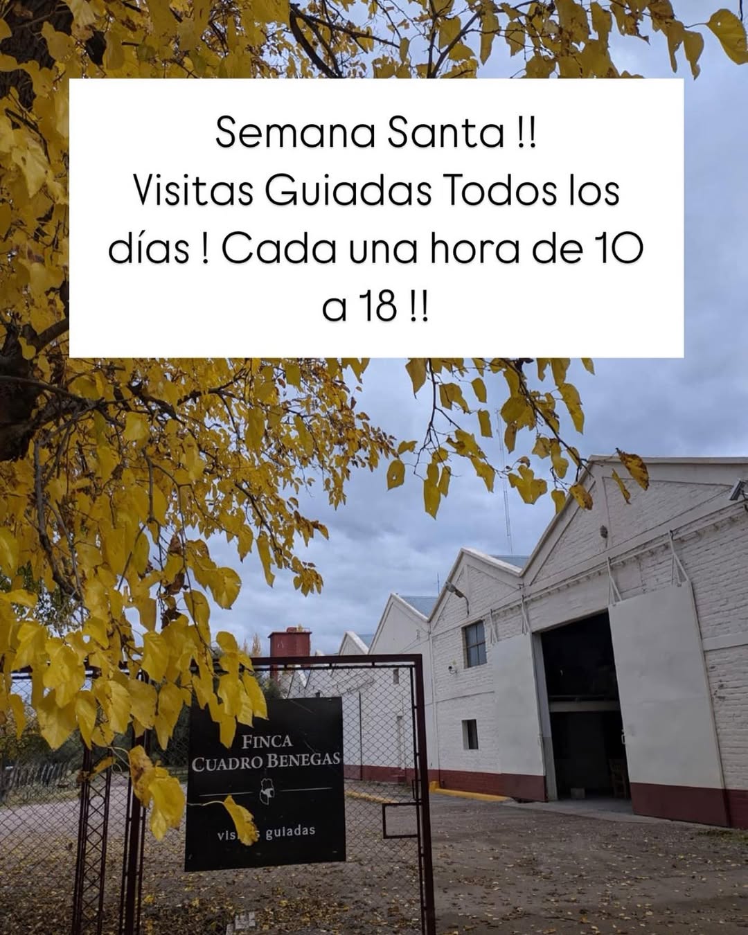 FINCA CUADRO BENEGAS - Instagram Post
