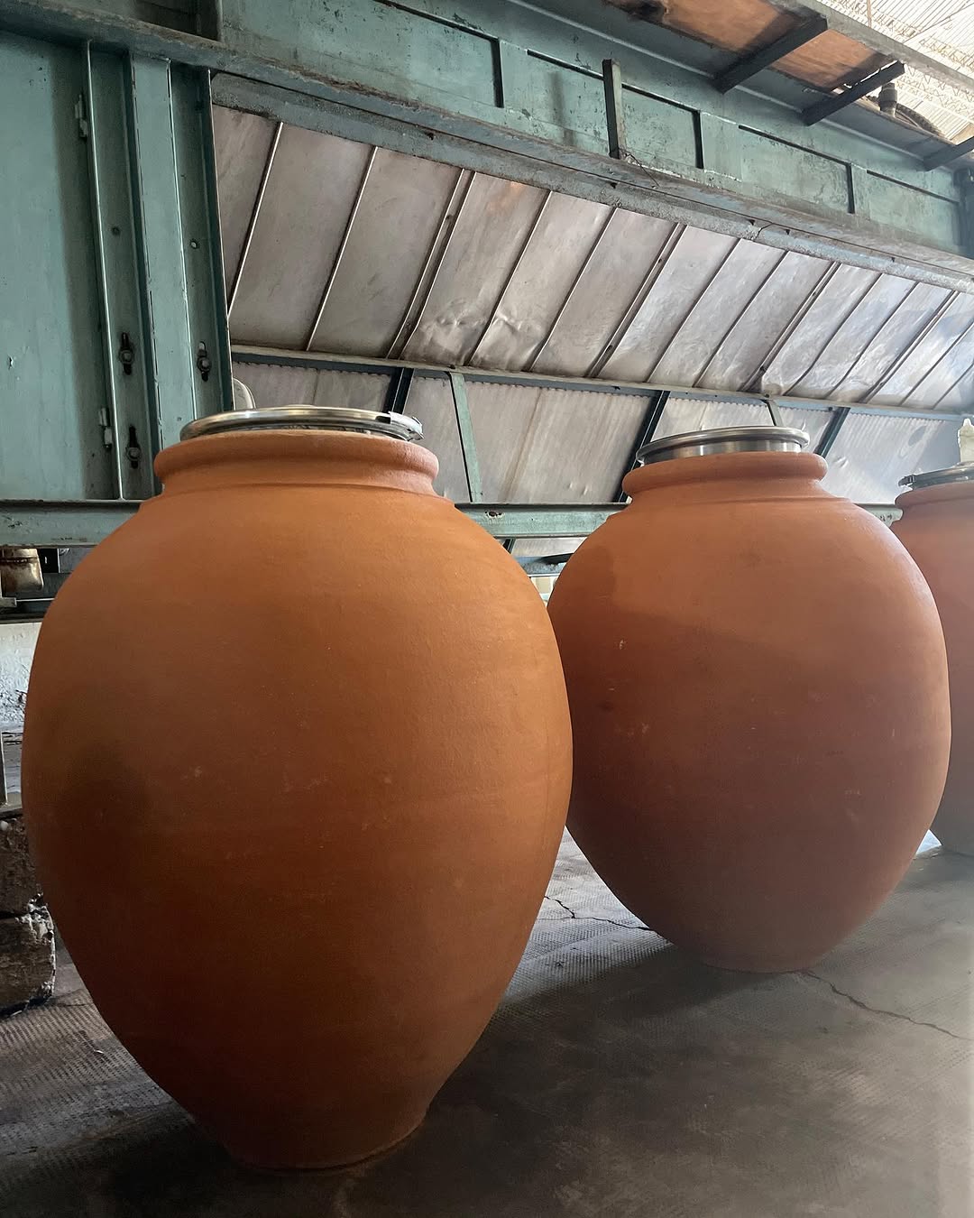 FINCA CUADRO BENEGAS - Instagram Post