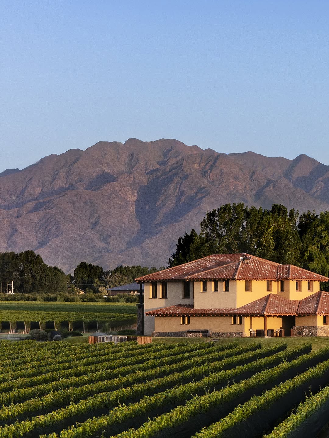 FINCA DECERO - Instagram Post