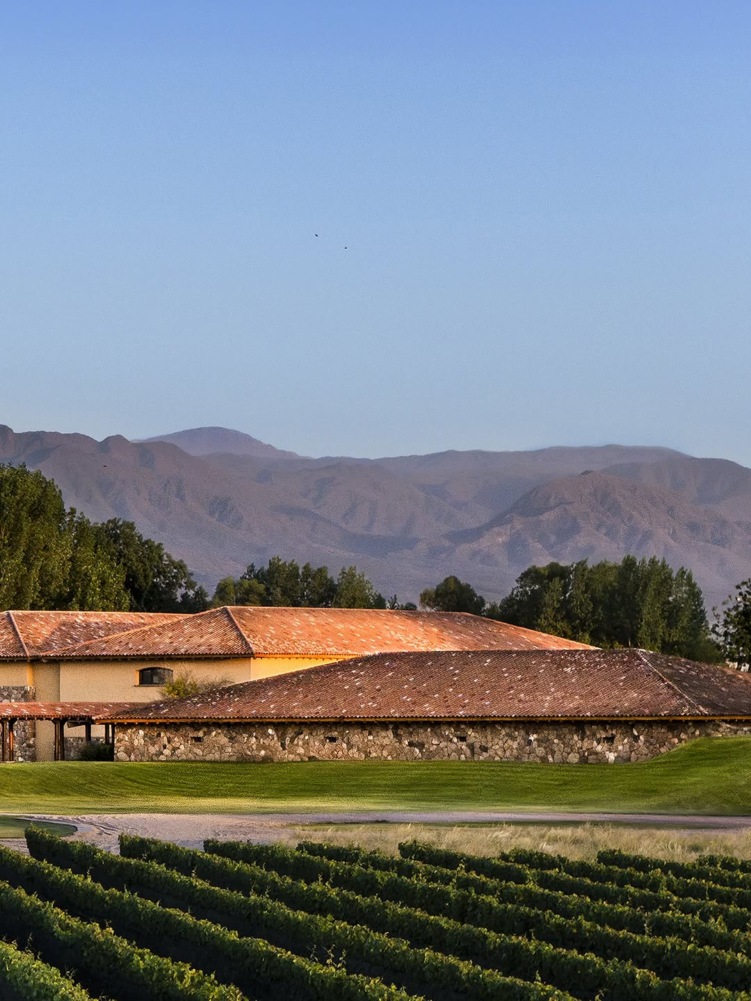 FINCA DECERO - Instagram Post