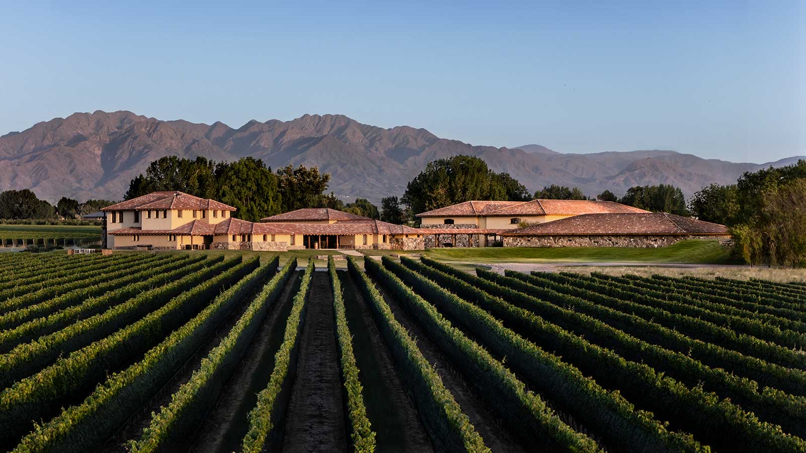 Finca Decero