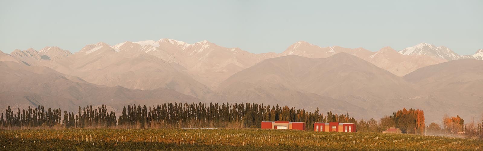 Finca Ferrer