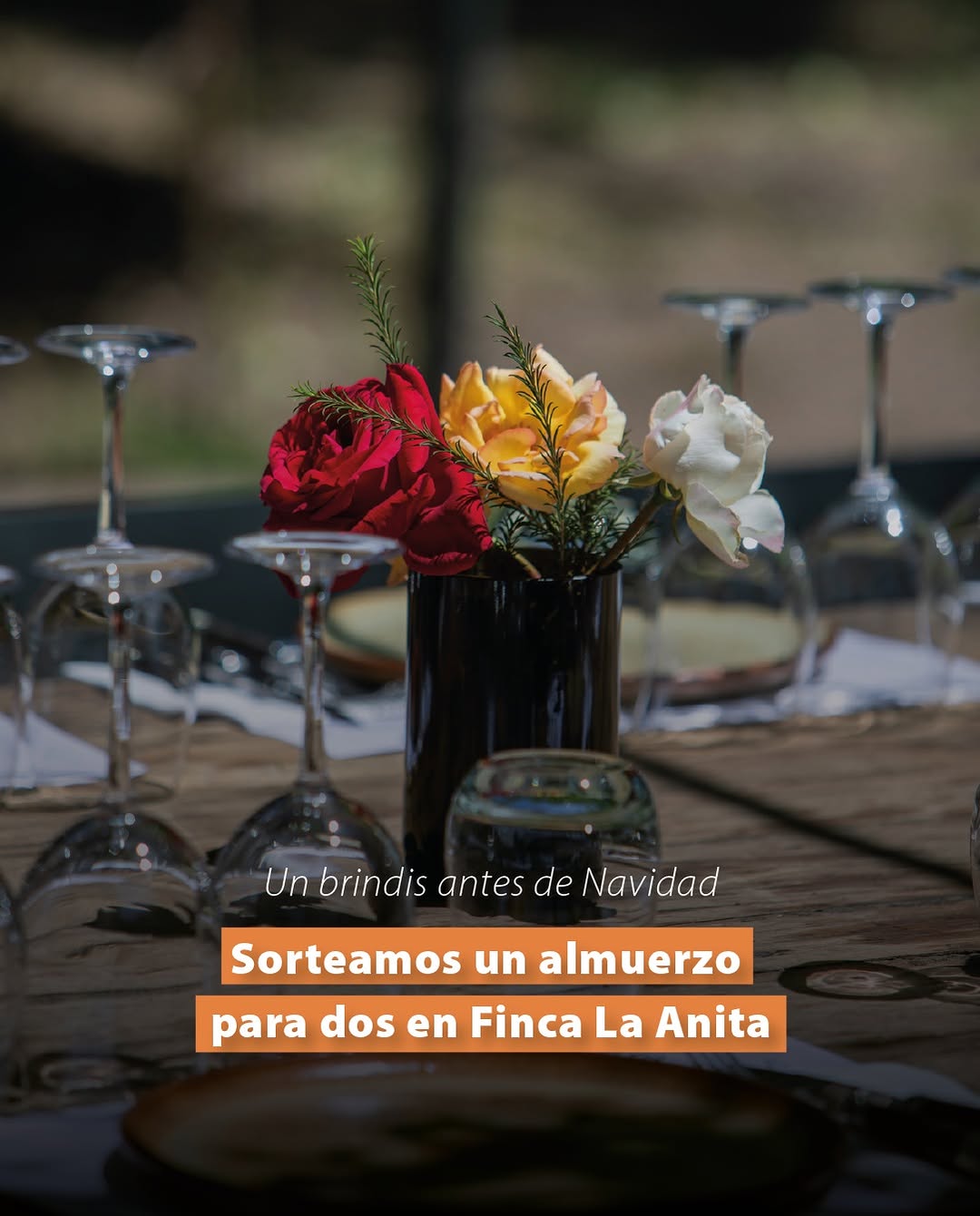 FINCA LA ANITA - Instagram Post