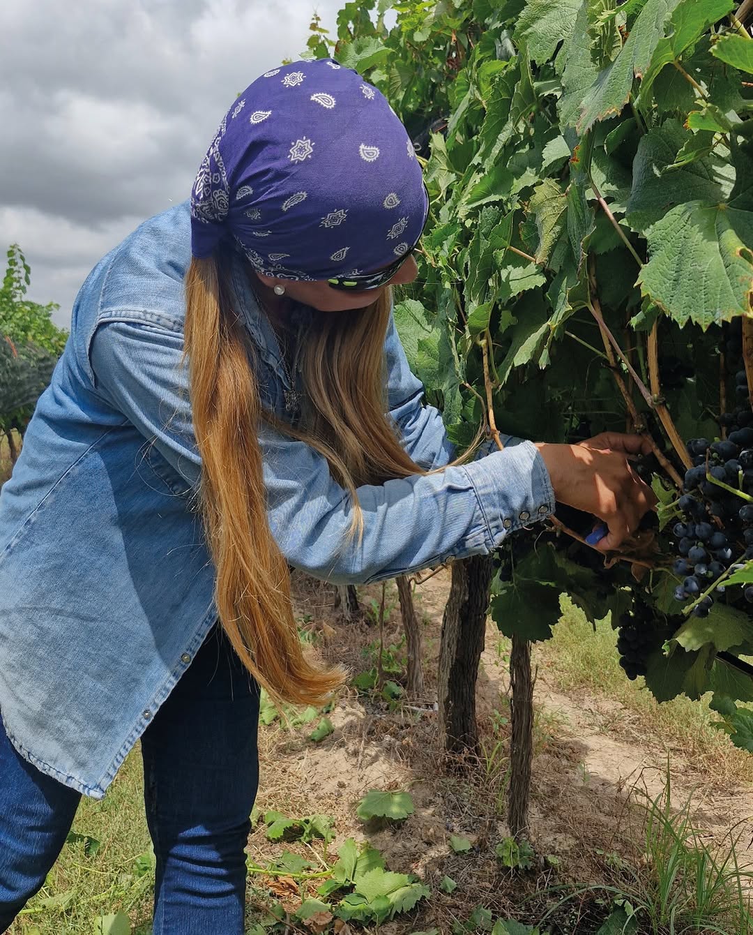 FINCA LA ANITA - Instagram Post